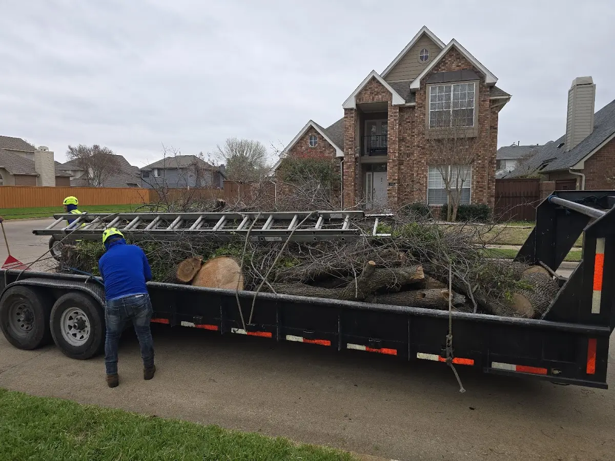 Expert Tree Removal with proper safety equipment in Chenoa